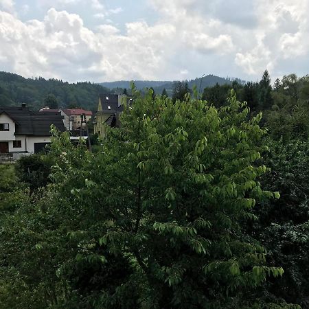 Apartamenty Montania 维斯拉 外观 照片