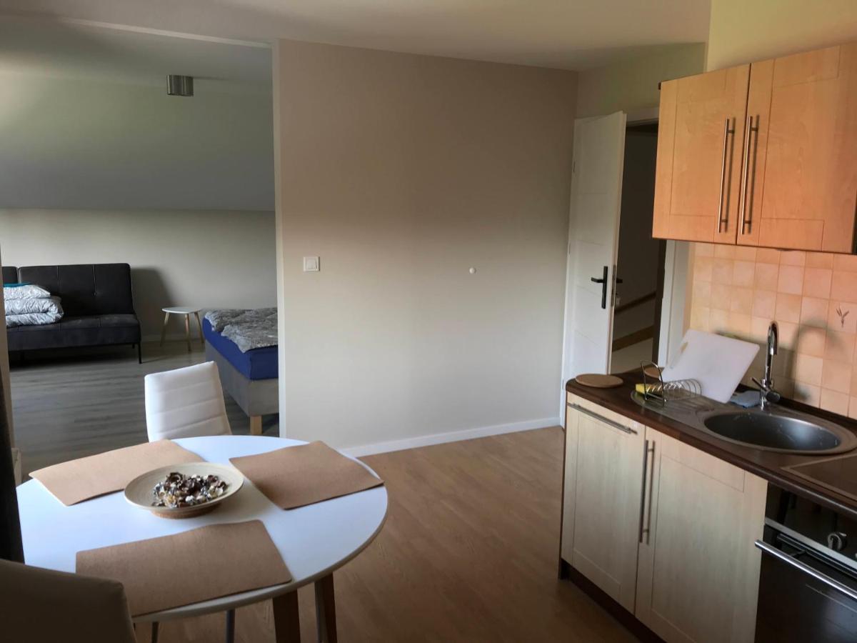 Apartamenty Montania 维斯拉 外观 照片