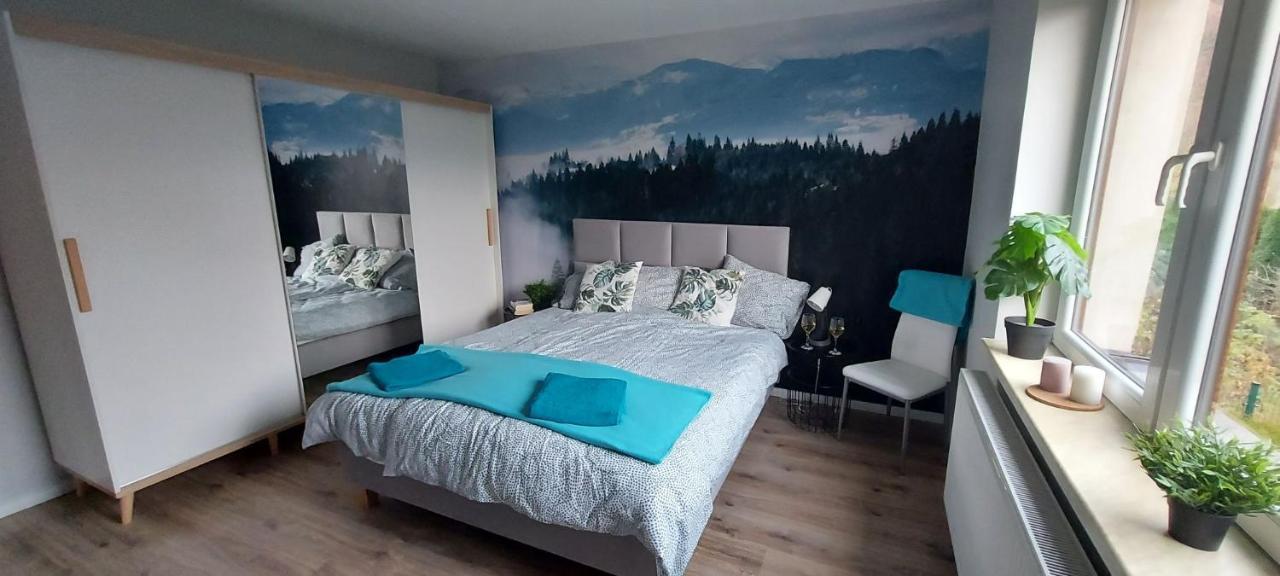Apartamenty Montania 维斯拉 外观 照片