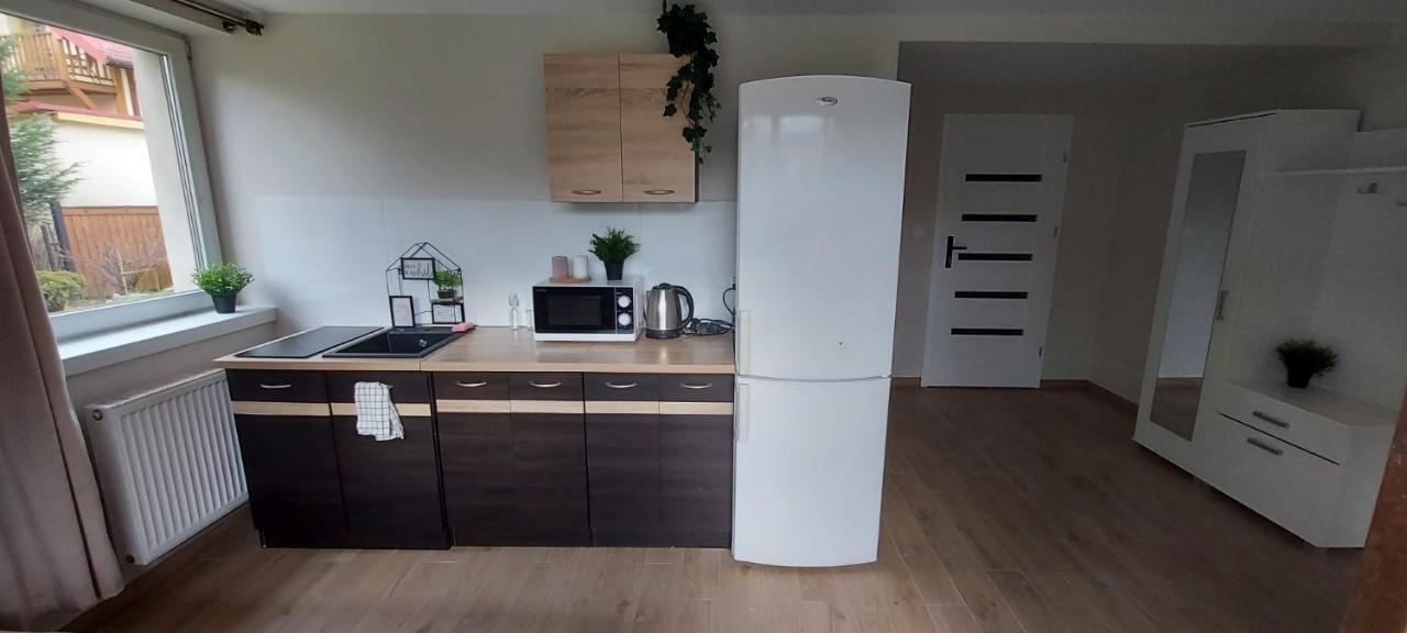 Apartamenty Montania 维斯拉 外观 照片