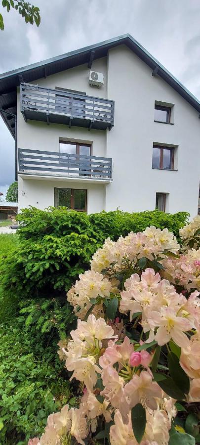 Apartamenty Montania 维斯拉 外观 照片