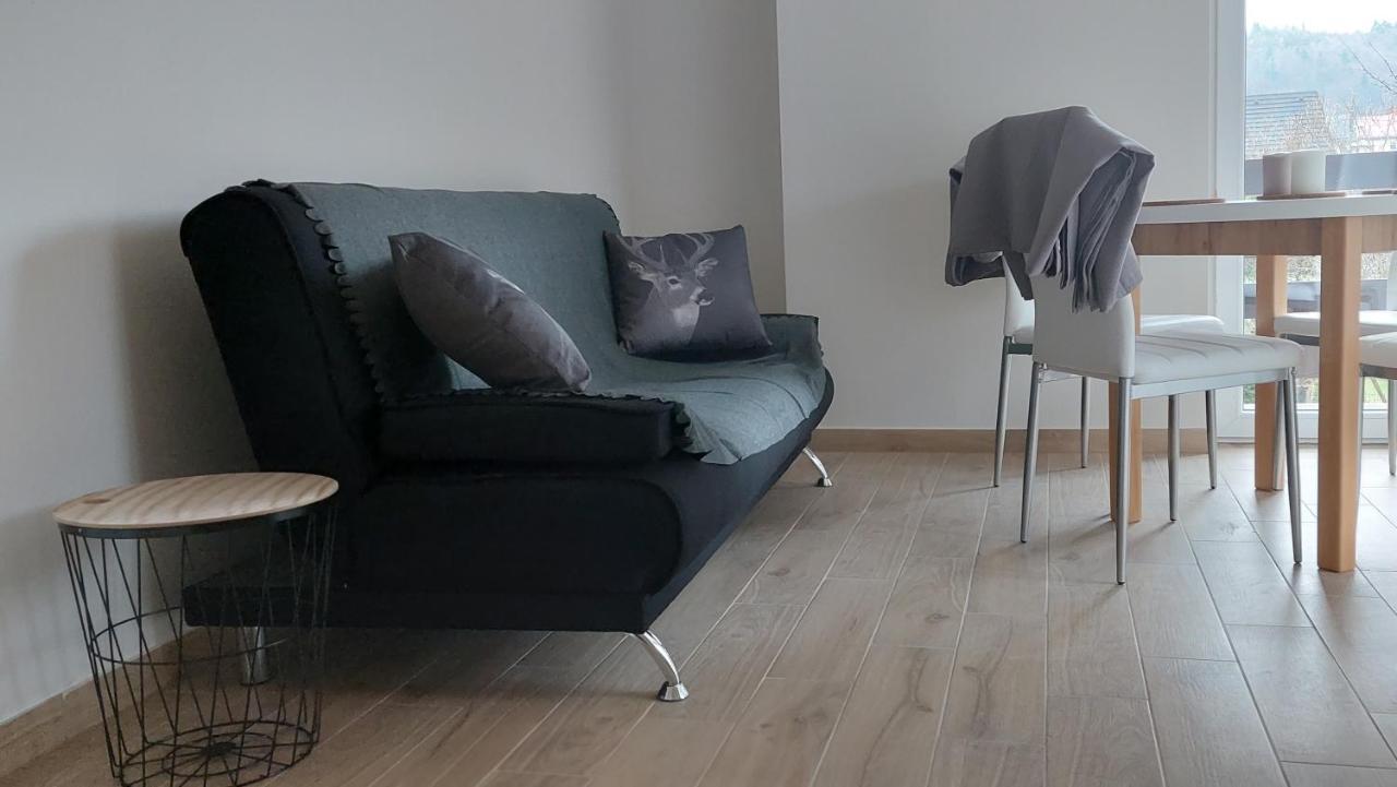 Apartamenty Montania 维斯拉 外观 照片