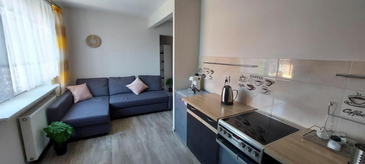 Apartamenty Montania 维斯拉 外观 照片