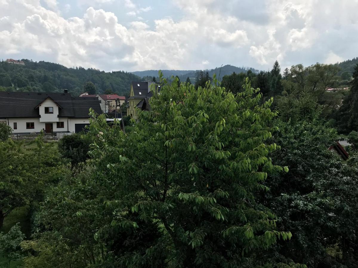Apartamenty Montania 维斯拉 外观 照片