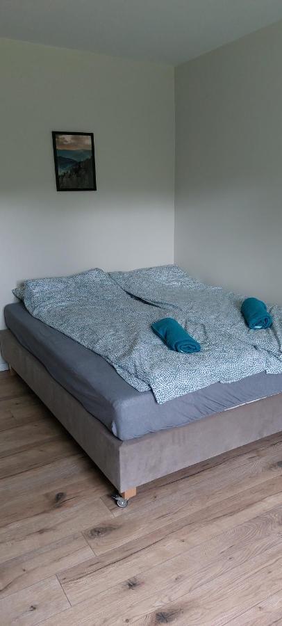 Apartamenty Montania 维斯拉 外观 照片