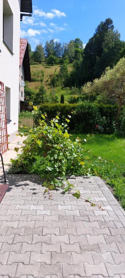 Apartamenty Montania 维斯拉 外观 照片
