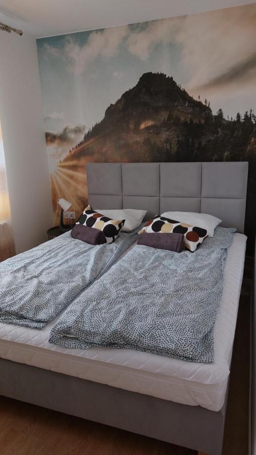 Apartamenty Montania 维斯拉 外观 照片