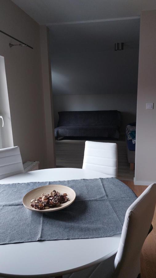 Apartamenty Montania 维斯拉 外观 照片